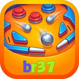br37